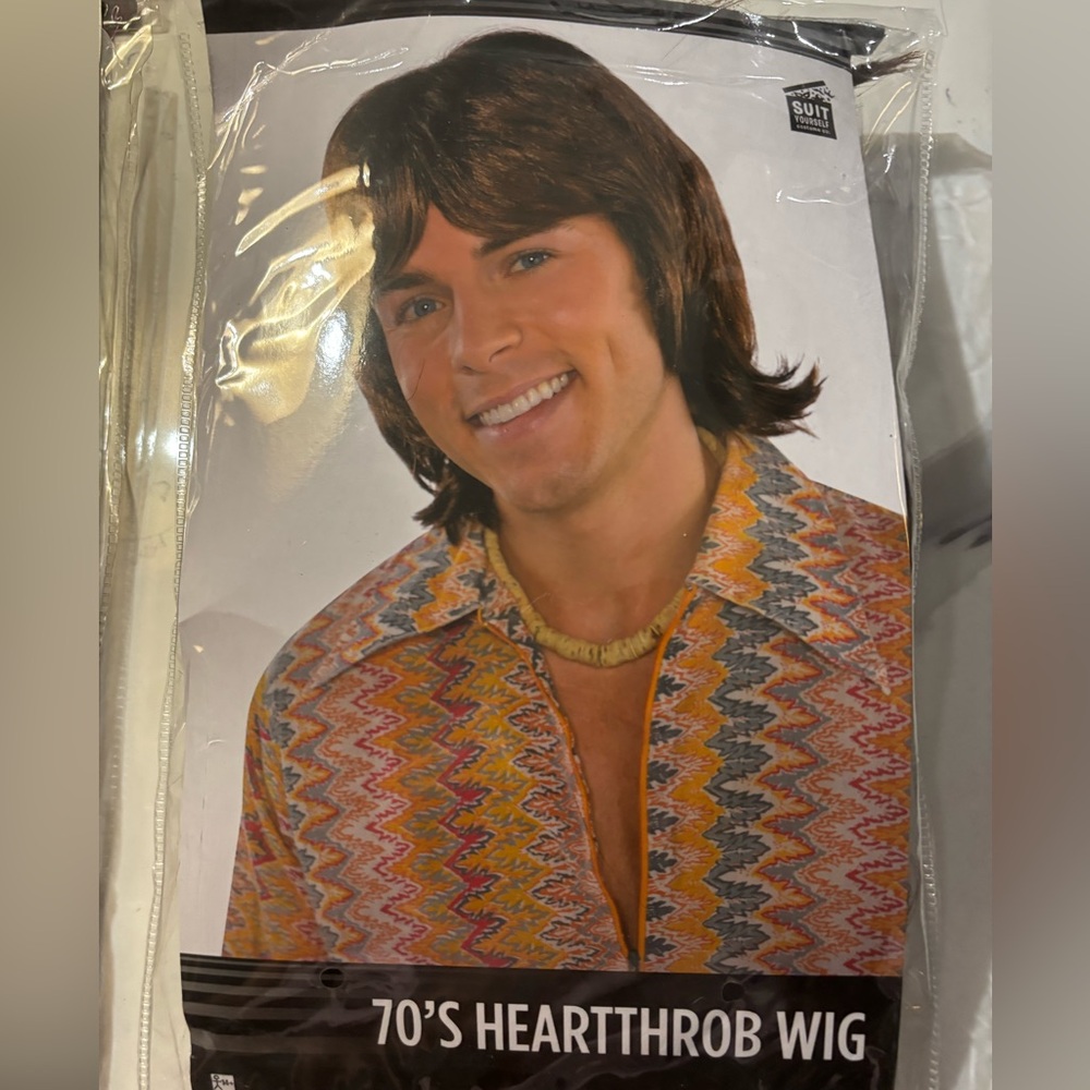 RETRO 70'S WIG